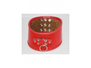 collar1