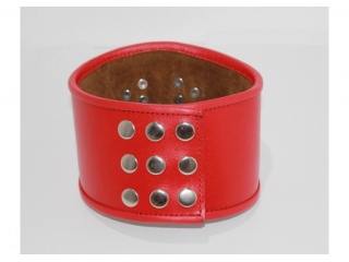 collar2