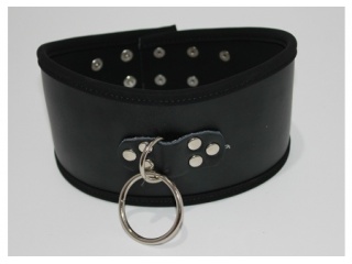 collar3