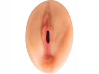 fleshl3
