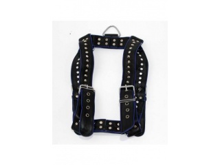 harness1