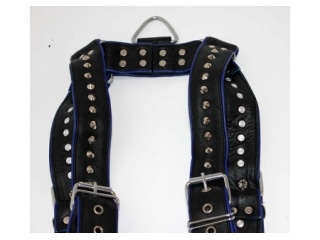 harness2